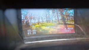 Запустил дрон Cetus Lite в сосновом бору