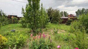 Дом в марьино