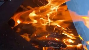 Наслаждаюсь голосом природы. ValeriaVanilla