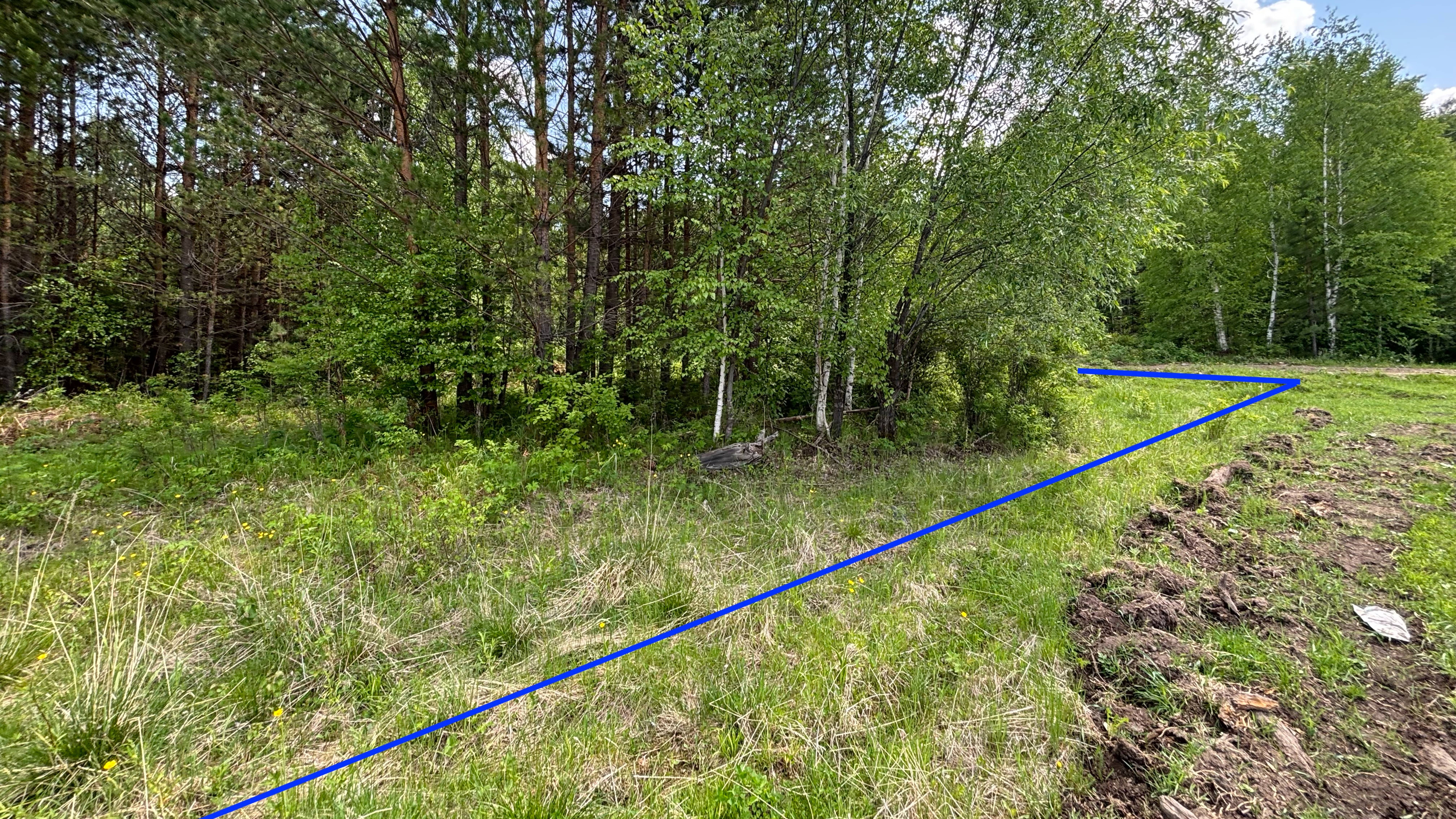 Видео-обзор участка в с. Шаманка 20 сот смотреть онлайн