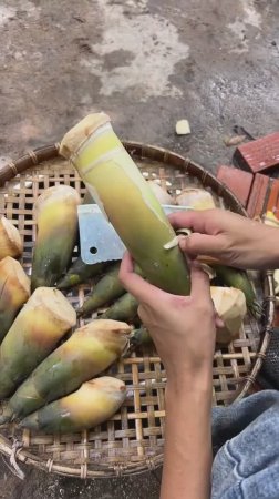 Приготовление бамбуковой побеги со свининой