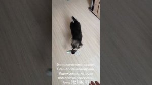 YouCut_20250617_234814026.mp4