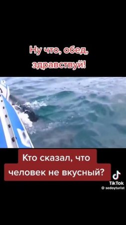 Морские приключения