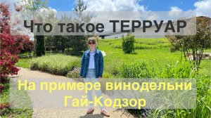 Что такое терруар? На примере винодельни Гай-Кодзор