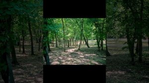 Городской Парк