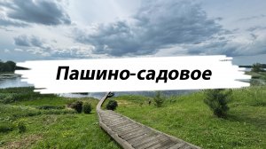 Красота, умиротворение рядом с рекой Цна в деревне Пашино-Садовое, Вышневолоцкий г.о.