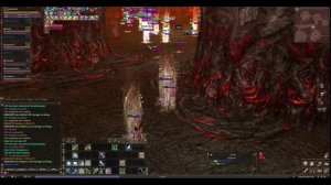 bohpts x20 FOG daily