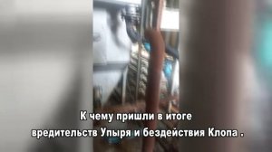 История ЛОСяша (глава третья