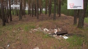 ЗАЩИТА ЛЕСА