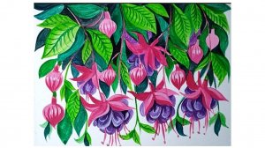 Фуксия. Рисуем красивые цветы гуашью.