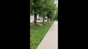 Дорога до магазина ч. 4 с Путь студента до вуза