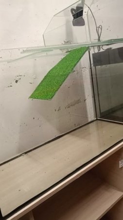Аквариум черепашник со съемной сушей