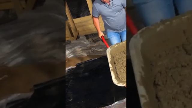КОГДА НАДО ПОДЕШЕВЛЕ