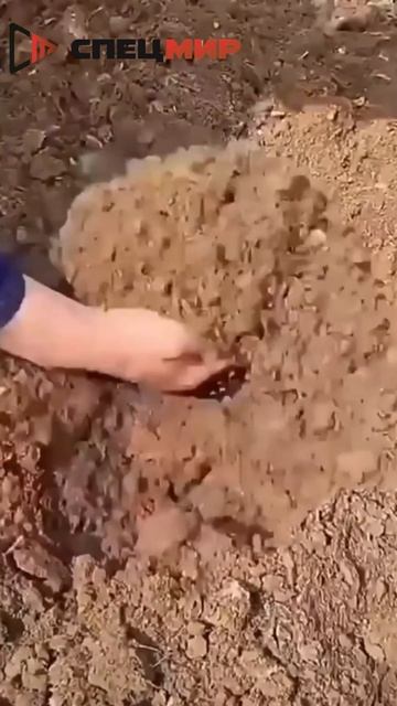Многофункциональный бензиновый культиватор +7 (495) 108-72-91