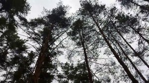 Длинные выходные и рыбалка на Волге (с приключениями))))