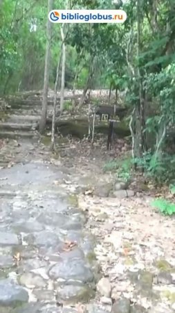 Национальный парк Фуёнг — природные чудеса и приключения в Таиланде 🌿🦜 #shorts #Таиланд #Таиланд20