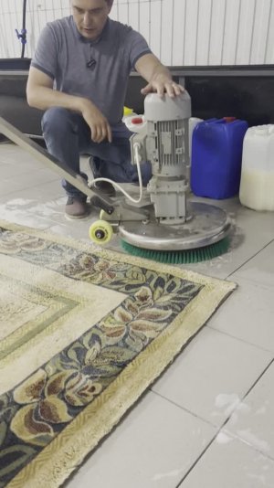 Роторная машина для чистки ковров Пионер. Справиться даже ребенок. Великолепный баланс