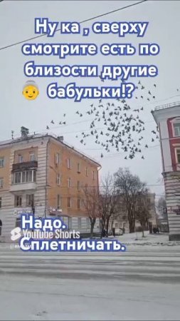 БАБУШКА
