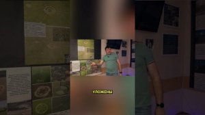 Не всё на полях — дело рук пришельцев / Музей уфологии и аномальных явлений в Жигулевске