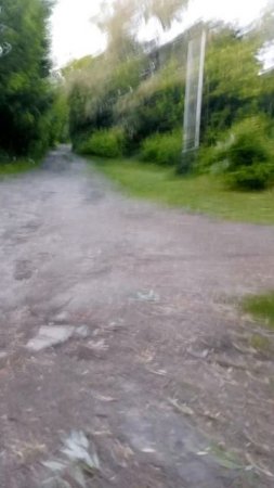 дорог