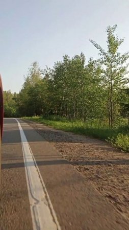 Дорога домой