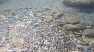 Погружение в подводный мир: звуки океана и танцующие рыбки | Релакс и гармония