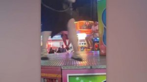 Идиоты по жизни