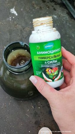 1 капля и огурцов нарастает море, завязи не опадают, листья не желтеют, урожай огурцов тоннами