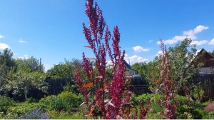 Дачи озераТагарское .Минусинск .Красноярский край