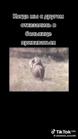 Побег от уколов
