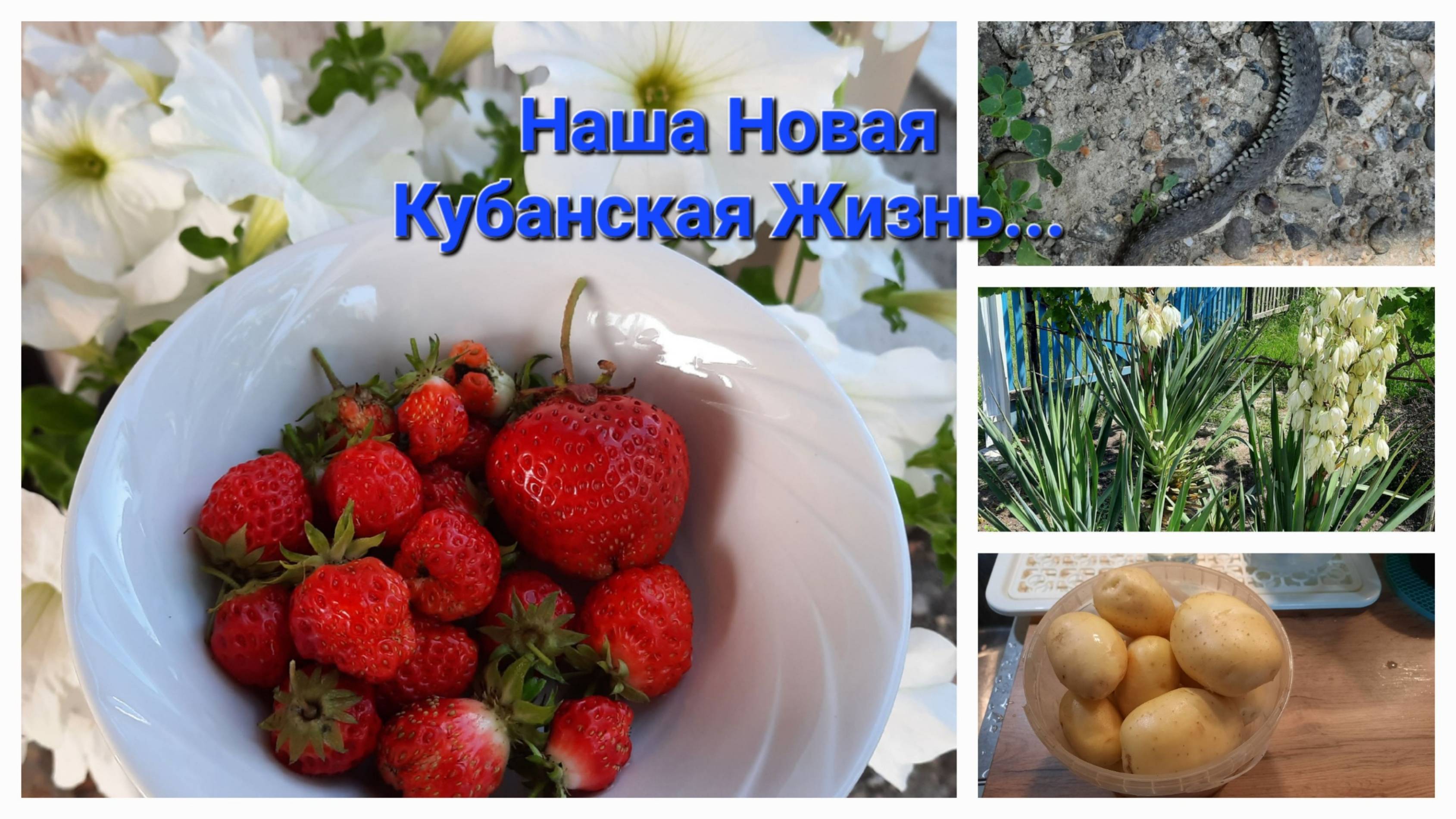37. Доделали сеновал. Земля кубанская кормит. Реставрирую старый холодильник.