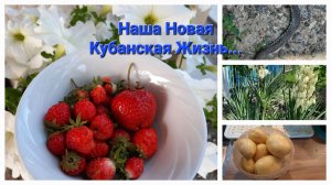 37. Доделали сеновал. Земля кубанская кормит. Реставрирую старый холодильник.