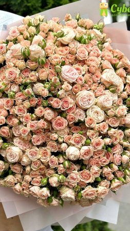 Доставка цветов| Цветы с доставкой|Cyber Flora® | Кибер Флора® - 
101 кустовая роза
