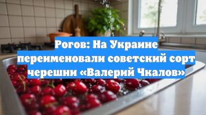 Рогов: На Украине переименовали советский сорт черешни «Валерий Чкалов»
