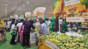 Mango festival Doha 2025 Манго фестиваль Доха Катар 2025 июнь