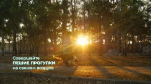 Гиподинамия ролик