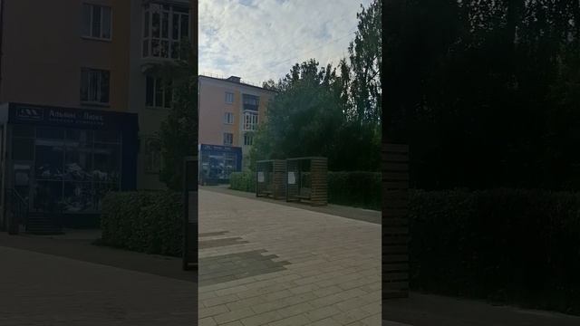 доброе  утро