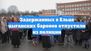 Задержанных в Ельце цыганских баронов отпустили из полиции
