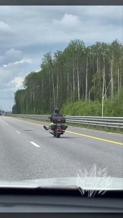 😁 Атмосфера свободы и умиротворения царит на трассе М-11
