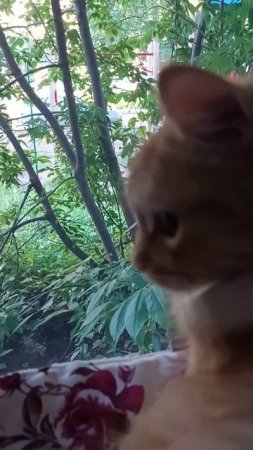 Тихий вечер 😻💕
