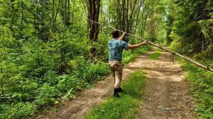 По ягоды, по грибы на разведку после урагана. Море лесных орхидей. Лес гибнет от него!