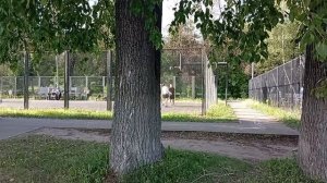 Пляж Заволжский парк (Спортплощадки)