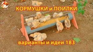 Кормушки и поилки для кур своими руками (183) 🪚✂️ Пошаговая инструкция как сделать 🐔 🐓❣️
