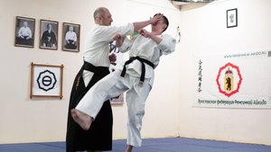 Фрагменты семинара Ренсинкай Айкидо в Ярославле. Май 2025 г.