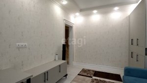 8555794