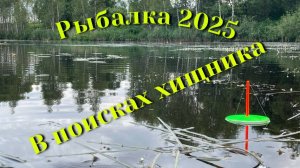 Рыбалка 2025. Щука на кружки. Ищу хищника.