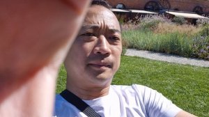 Новая Голландия