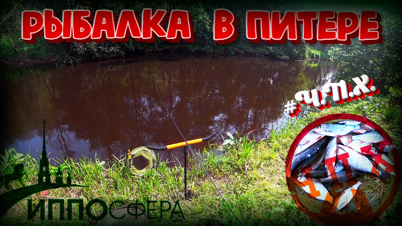 Рыбалка на реке Охта в СПБ на фидер. Конная выставка Ипосфера. Ч.П.Х.