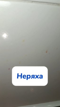 А вы когда мыли кухонный фартук?