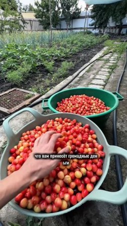 Крепта?